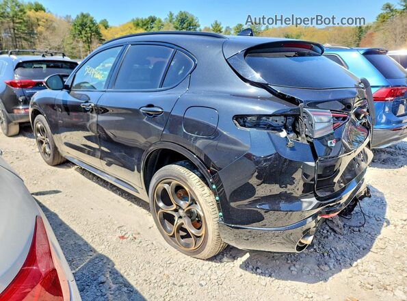 ZASPAKAN2S7D99741 2025 ALFA ROMEO STELVIO Black Tył lewy