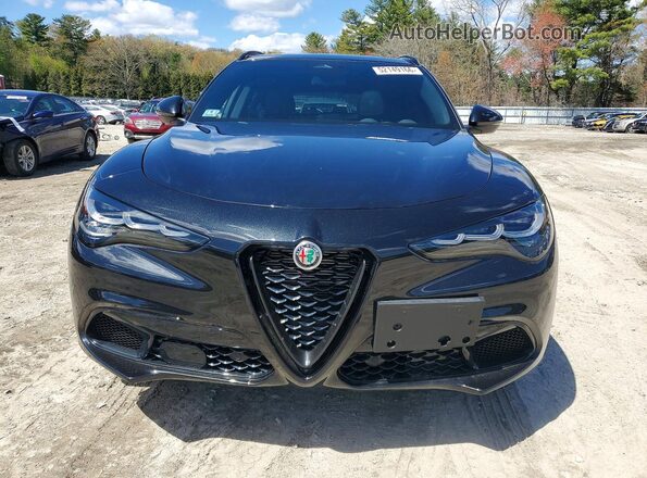 ZASPAKAN2S7D99741 2025 ALFA ROMEO STELVIO Black Widok z przodu