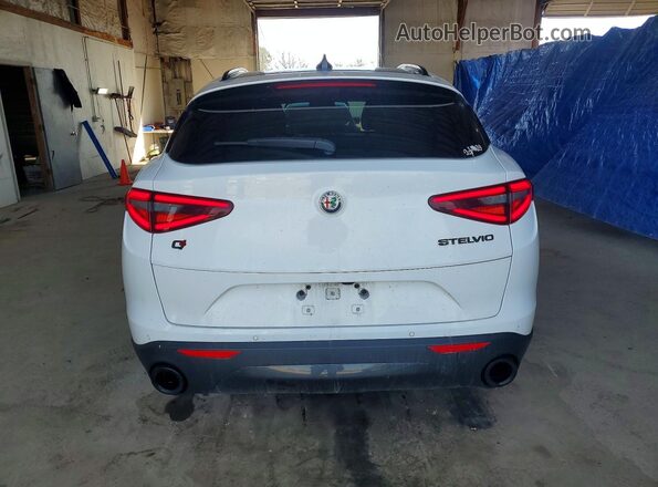 ZASPAKAN7K7C67820 2019 ALFA ROMEO STELVIO Белый Вид сзади