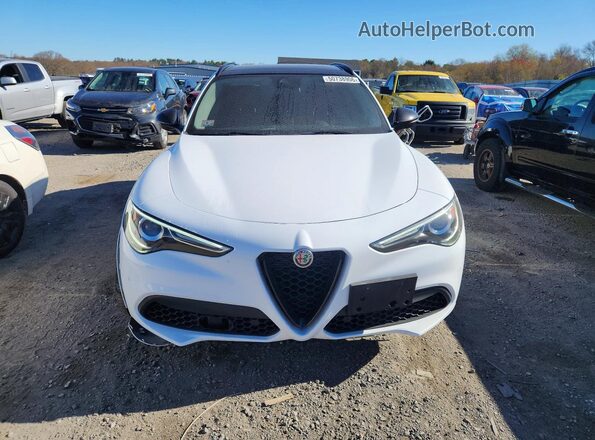 ZASPAKBN0M7D18494 2021 ALFA ROMEO STELVIO Белый 