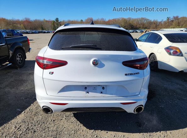 ZASPAKBN0M7D18494 2021 ALFA ROMEO STELVIO Белый 
