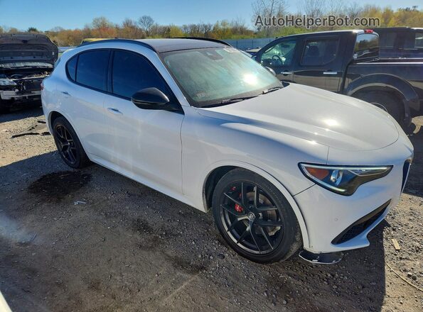 ZASPAKBN0M7D18494 2021 ALFA ROMEO STELVIO Белый 