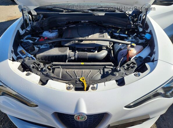 ZASPAKBN0M7D18494 2021 ALFA ROMEO STELVIO Белый 