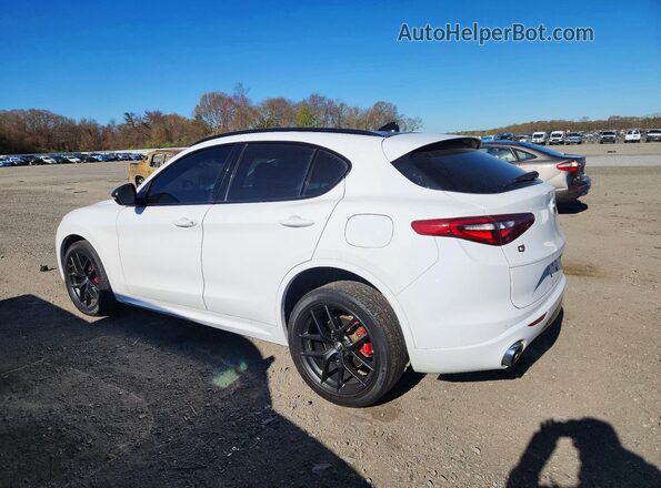 ZASPAKBN0M7D18494 2021 ALFA ROMEO STELVIO Белый 