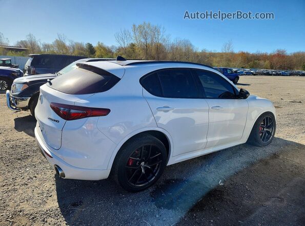 ZASPAKBN0M7D18494 2021 ALFA ROMEO STELVIO Белый 