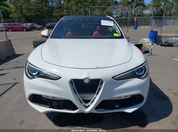 ZASPAKBN1L7C83656 2020 ALFA ROMEO STELVIO White Вид задньої частини салону