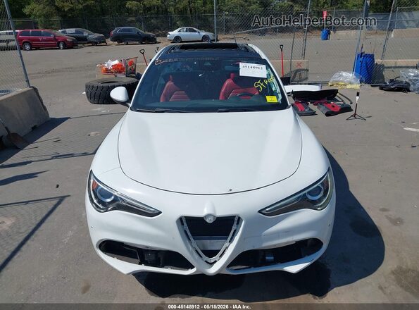 ZASPAKBN1L7C83656 2020 ALFA ROMEO STELVIO White Вид спереду