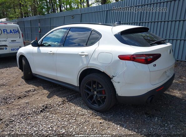 ZASPAKBN3K7C65738 2019 ALFA ROMEO STELVIO White Հետևի ձախ