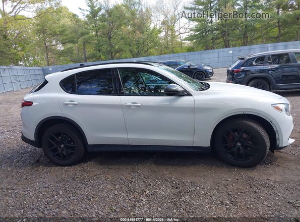 ZASPAKBN3K7C65738 2019 ALFA ROMEO STELVIO White Սալոնի հետևի տեսք