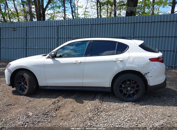 ZASPAKBN3K7C65738 2019 ALFA ROMEO STELVIO White Սալոնի 360 աստիճան տեսք