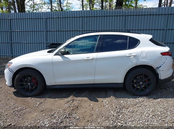 ZASPAKBN3K7C65738 2019 ALFA ROMEO STELVIO White Դիմացի տեսք