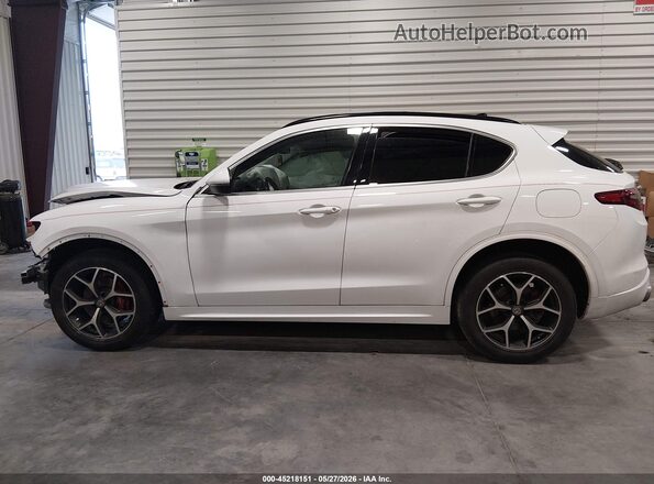 ZASPAKBN3M7D01267 2021 ALFA ROMEO STELVIO White Widok wnętrza 360 stopni