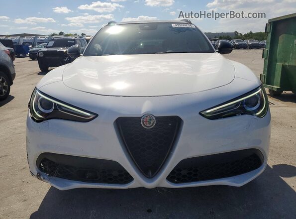 ZASPAKBN4P7D55021 2023 ALFA ROMEO STELVIO White Вид спереду
