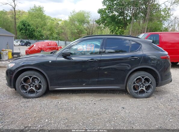 ZASPAKBN7N7D38775 2022 ALFA ROMEO STELVIO Gray Панорамний вид салону 360°