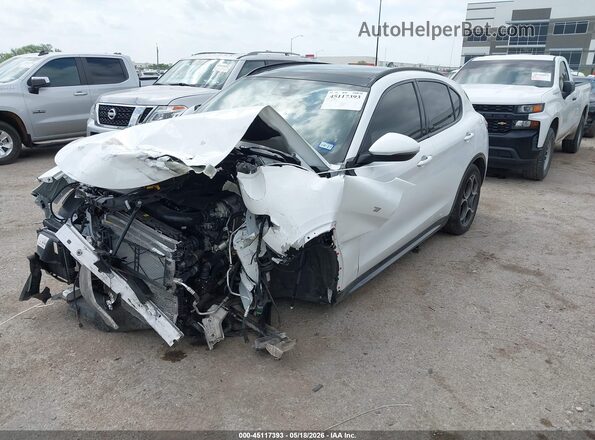 ZASPAKBN7N7D39120 2022 ALFA ROMEO STELVIO Белый 