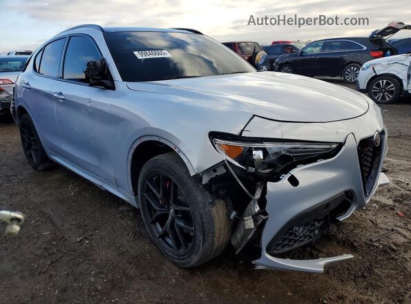 ZASPAKBNXM7D14971 2021 ALFA ROMEO STELVIO Серебряный 