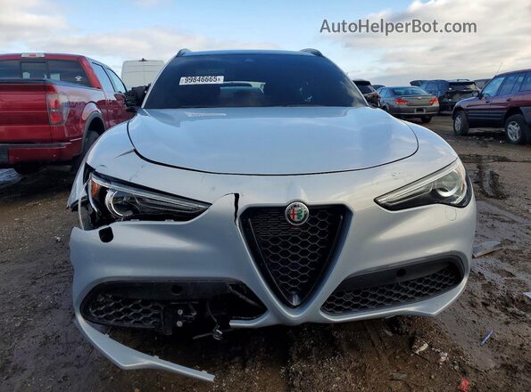 ZASPAKBNXM7D14971 2021 ALFA ROMEO STELVIO Серебряный 