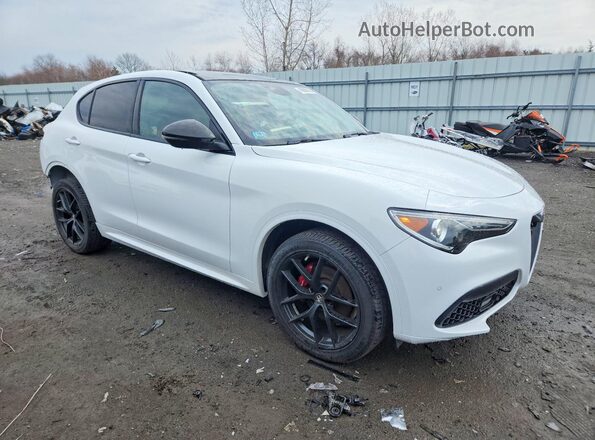 ZASPAKBNXM7D19930 2021 ALFA ROMEO STELVIO White 