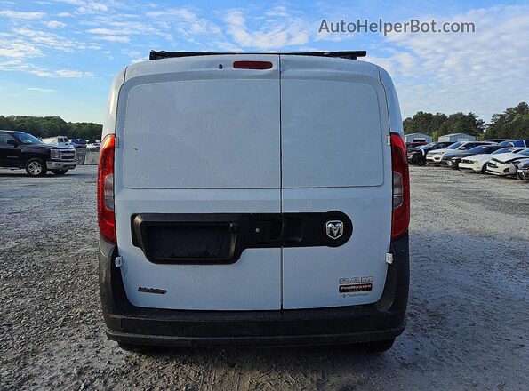 ZFBERFAT0G6C28830 2016 RAM PROMASTER White Հետևի տեսք
