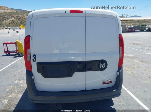 ZFBHRFAB2L6P29102 2020 RAM PROMASTER CITY Белый 