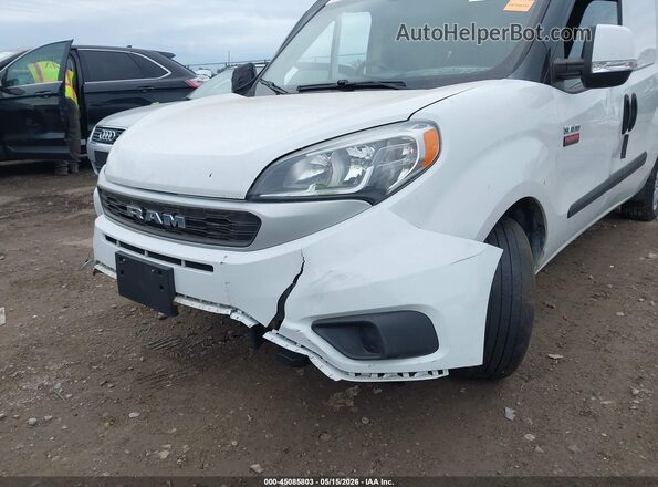 ZFBHRFBB8L6R71035 2020 RAM PROMASTER CITY Белый 