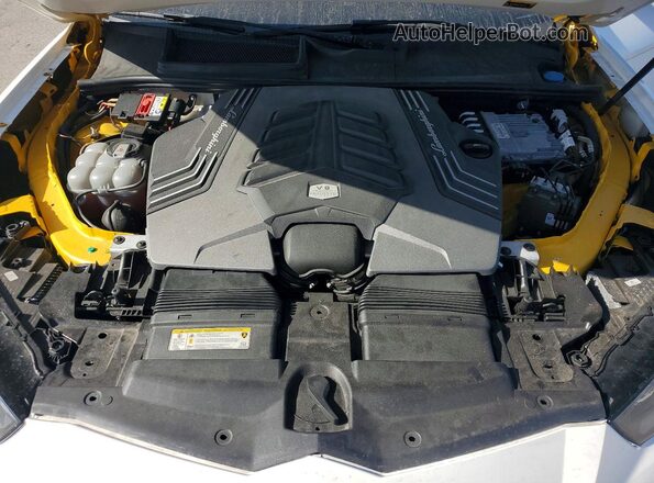 ZPBUA1ZL8KLA01117 2019 LAMBORGHINI URUS Белый 