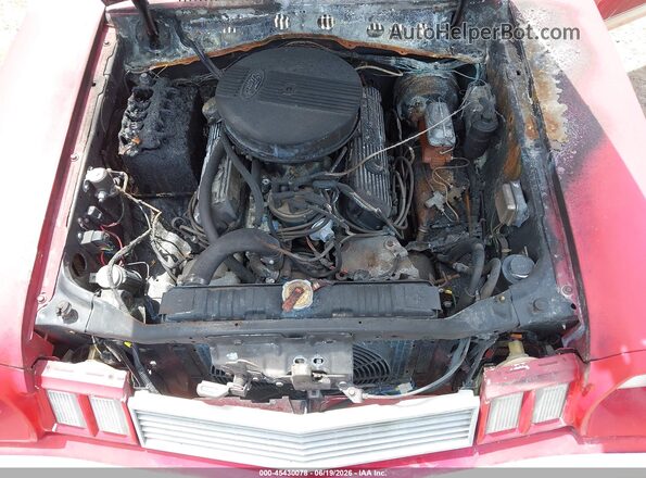 0000007T12Y111773 1977 FORD OTHER Red Widok z tyłu