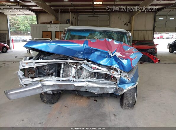 000000F10HNS42713 1974 FORD F100 Синий Вид задней части салона
