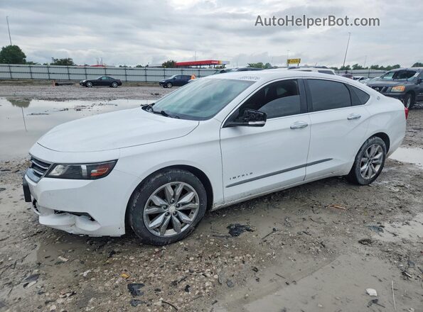 1G11Z5S35KU102445 2019 CHEVROLET IMPALA Белый Задняя левая четверть