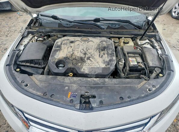 1G11Z5S35KU102445 2019 CHEVROLET IMPALA Белый Вид подкапотного пространства