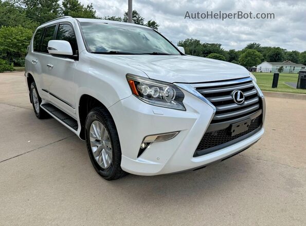 JTJBM7FX2G5146209 2016 LEXUS GX Белый Задняя левая четверть