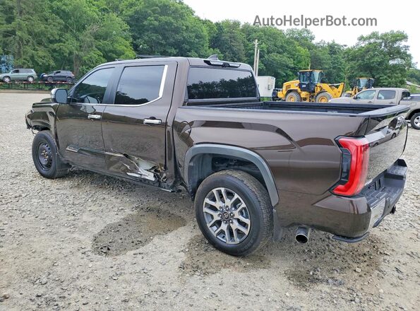 5TFMA5DB7SX305948 2025 TOYOTA TUNDRA Коричневый Задняя правая четверть