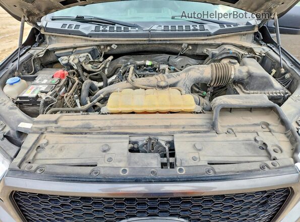 1FTEW1EP3KKC30641 2019 FORD F150 Gray Widok komory silnika