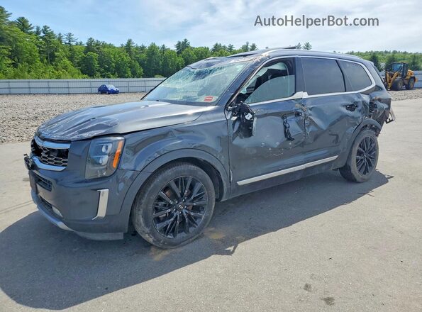 5XYP5DHC4LG060819 2020 KIA TELLURIDE Gray Задня ліва чверть