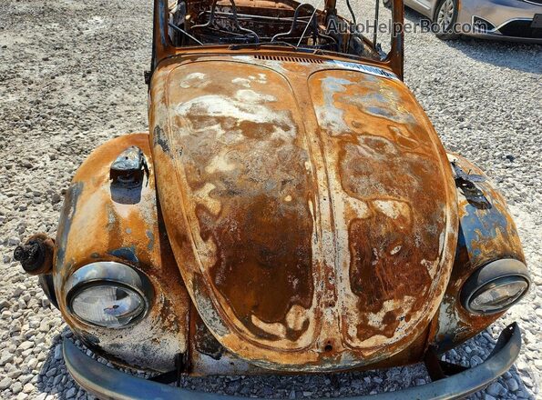 1512438240 1971 VOLKSWAGEN BEETLE Burn Սալոնի հետևի տեսք