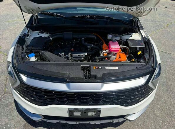 KNDPVCAG3P7018460 2023 KIA SPORTAGE White 