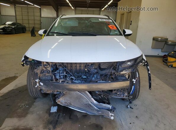 5NMJB3DEXSH460906 2025 HYUNDAI TUCSON Белый 