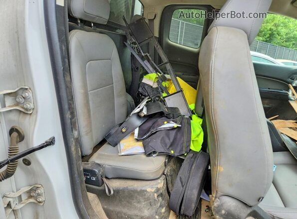 1GCHSBEA5K1318185 2019 CHEVROLET COLORADO Белый Вид задней части салона