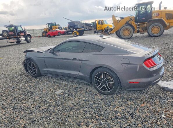 1FA6P8TH7P5108401 2023 FORD MUSTANG Gray Tył prawy