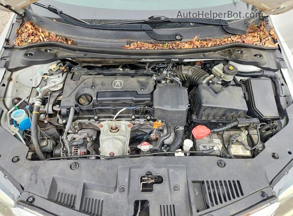 19UDE2F81GA003166 2016 ACURA ILX White უკანა სალონის ხედი