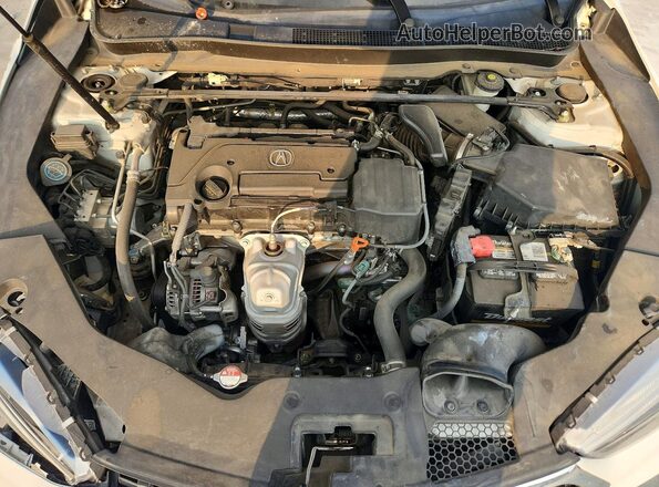 19UUB1F38KA001088 2019 ACURA TLX White Սալոնի հետևի տեսք