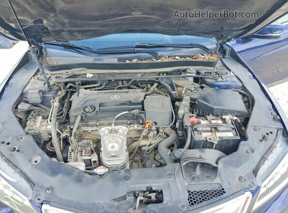 19UUB1F58HA003563 2017 ACURA TLX Синий Вид задней части салона