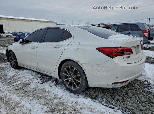 19UUB2F52HA000888 2017 ACURA TLX White უკანა მარცხენა