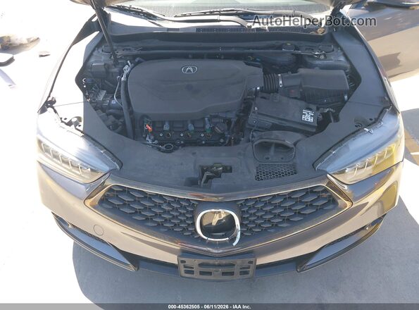 19UUB2F65KA006927 2019 ACURA TLX Gray Вид ззаду