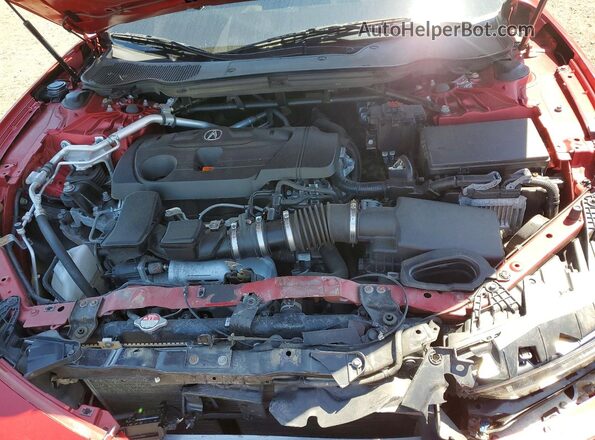 19UUB6F53MA802559 2021 ACURA TLX Red 