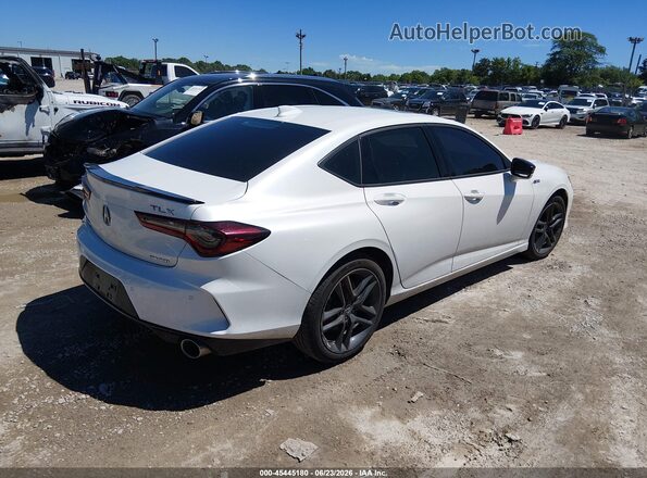 19UUB6F57SA000464 2025 ACURA TLX White Trasero derecho