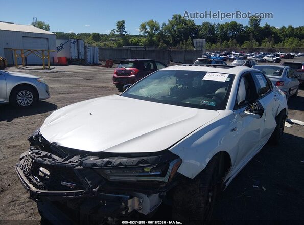 19UUB7F91PA000220 2023 ACURA TLX Белый Вид спереди