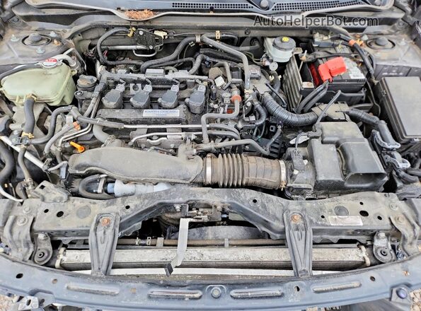 19XFC1F30KE202811 2019 HONDA CIVIC Gray Սալոնի հետևի տեսք