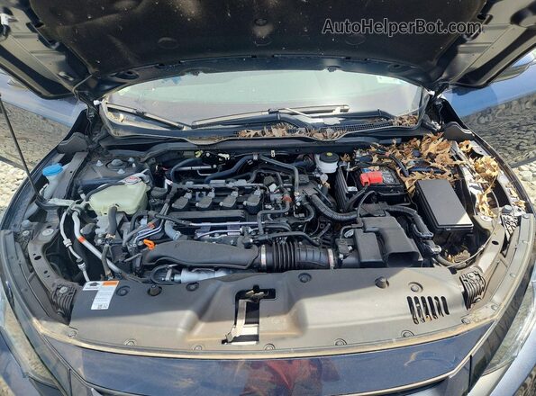 19XFC1F30ME207266 2021 HONDA CIVIC Blue Widok wnętrza z tyłu