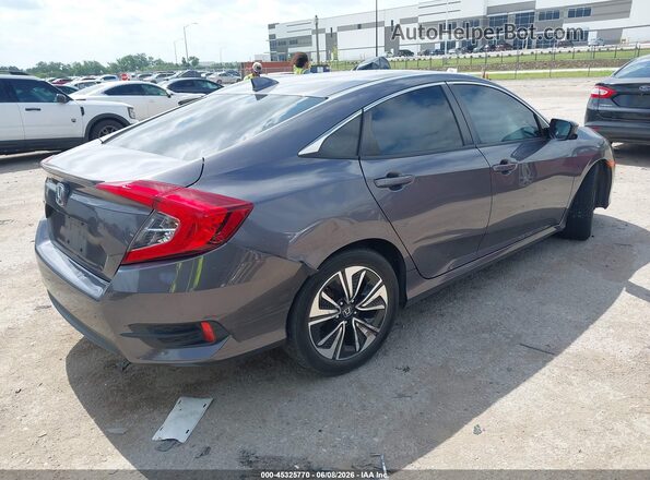 19XFC1F31HE021631 2017 HONDA CIVIC Gray Հետևի աջ